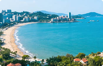 和新初立，触电跨境